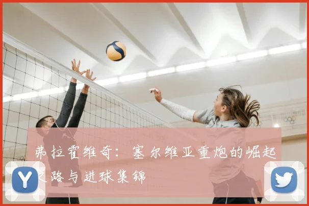 弗拉霍维奇：塞尔维亚重炮的崛起之路与进球集锦